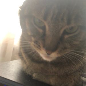 Meet your Posher, Tanya